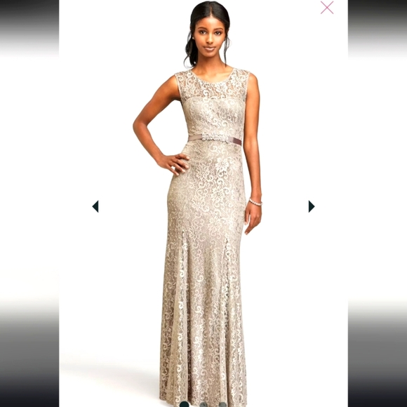 Betsy & Adam Dresses & Skirts - Elegant Lace Evening Gown